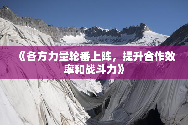 《各方力量轮番上阵，提升合作效率和战斗力》