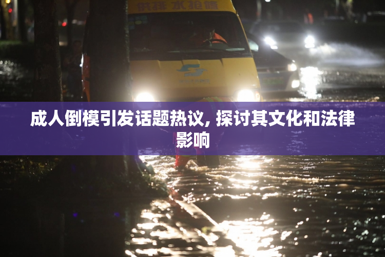 成人倒模引发话题热议, 探讨其文化和法律影响