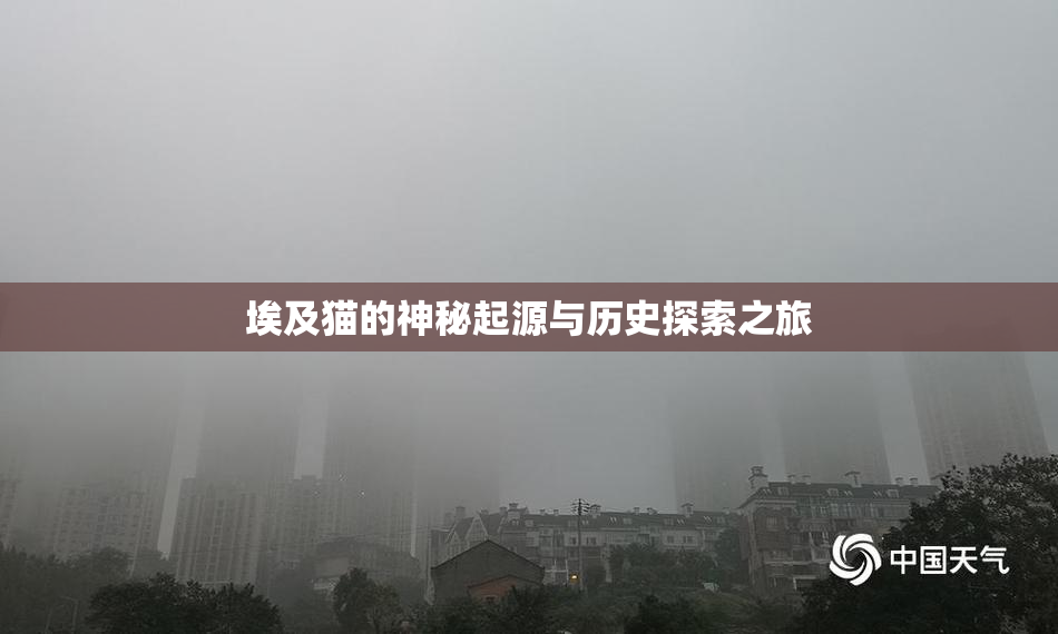埃及猫的神秘起源与历史探索之旅