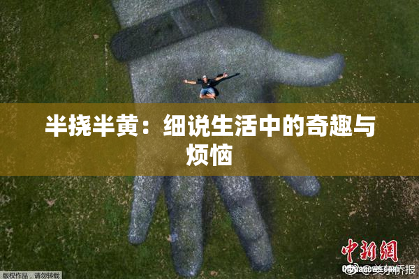 半挠半黄：细说生活中的奇趣与烦恼