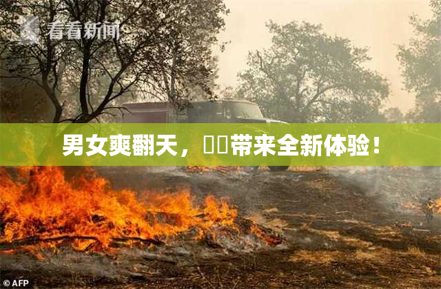 男女爽翻天，❌‌带来全新体验！