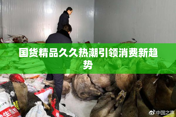 国货精品久久热潮引领消费新趋势