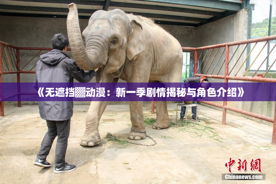 《无遮挡▓动漫：新一季剧情揭秘与角色介绍》