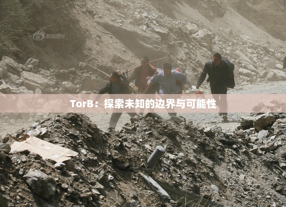 TorB：探索未知的边界与可能性