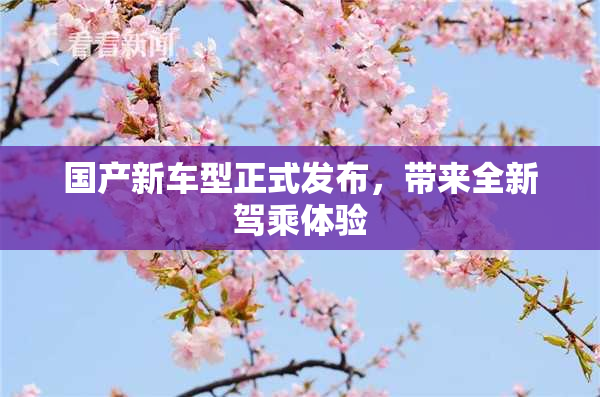 国产新车型正式发布，带来全新驾乘体验