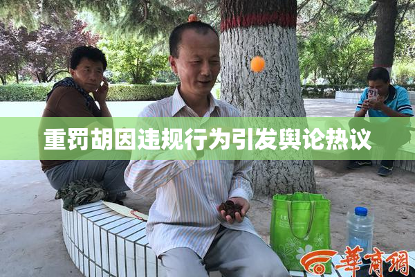 重罚胡因违规行为引发舆论热议