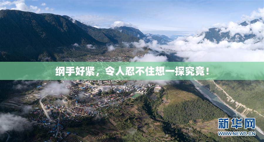 纲手好紧，令人忍不住想一探究竟！