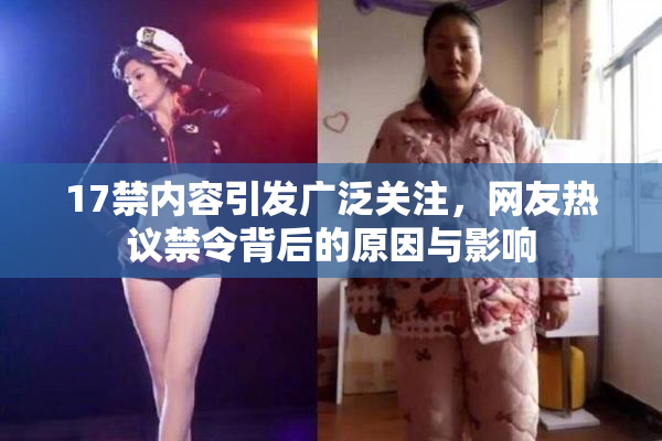17禁内容引发广泛关注，网友热议禁令背后的原因与影响