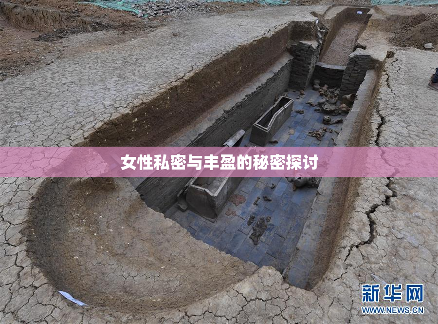 女性私密与丰盈的秘密探讨