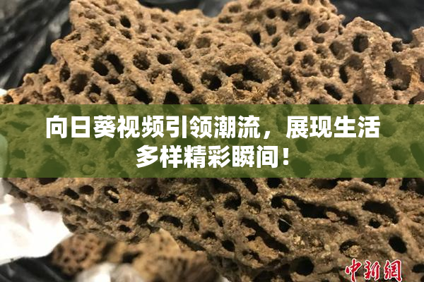 向日葵视频引领潮流，展现生活多样精彩瞬间！