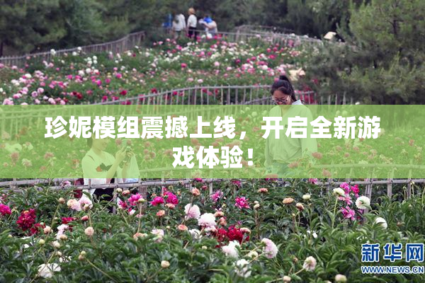 珍妮模组震撼上线，开启全新游戏体验！