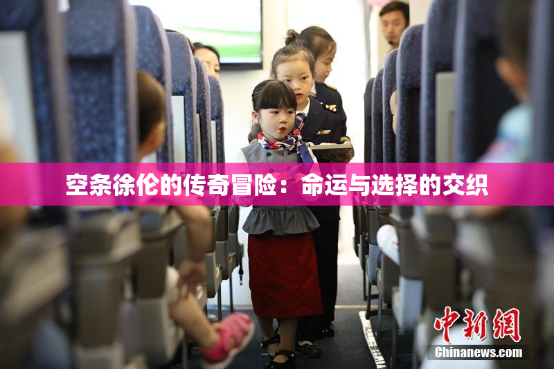 空条徐伦的传奇冒险：命运与选择的交织