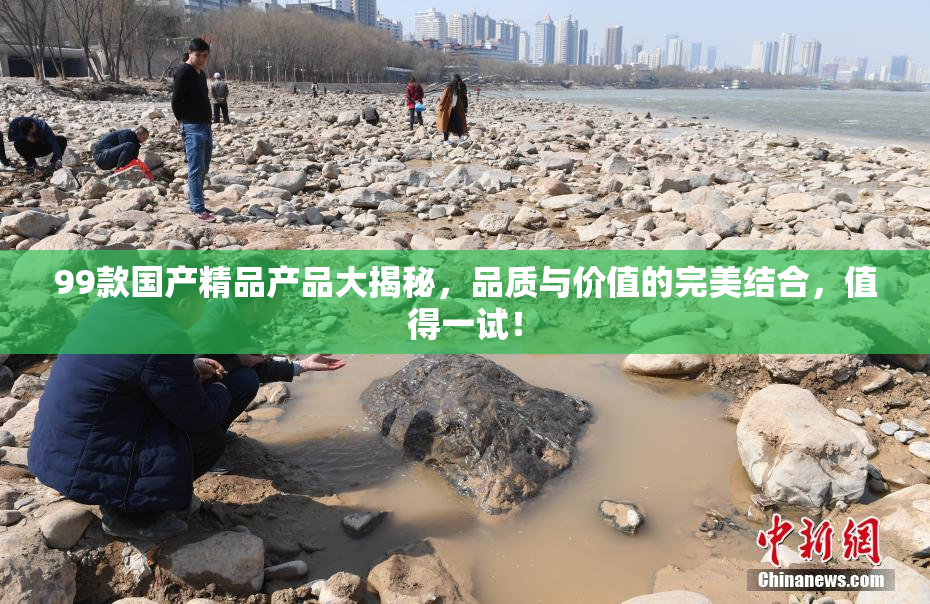 99款国产精品产品大揭秘，品质与价值的完美结合，值得一试！