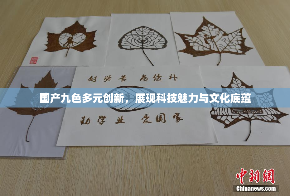 国产九色多元创新，展现科技魅力与文化底蕴