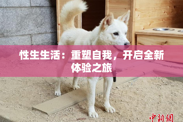 性生生活：重塑自我，开启全新体验之旅