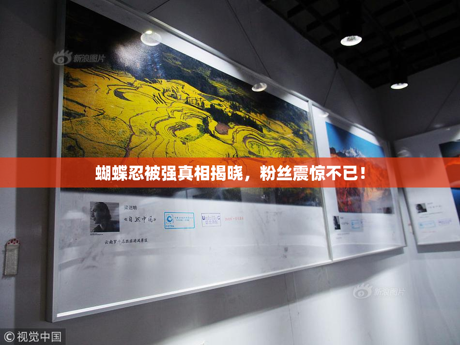 蝴蝶忍被强真相揭晓，粉丝震惊不已！