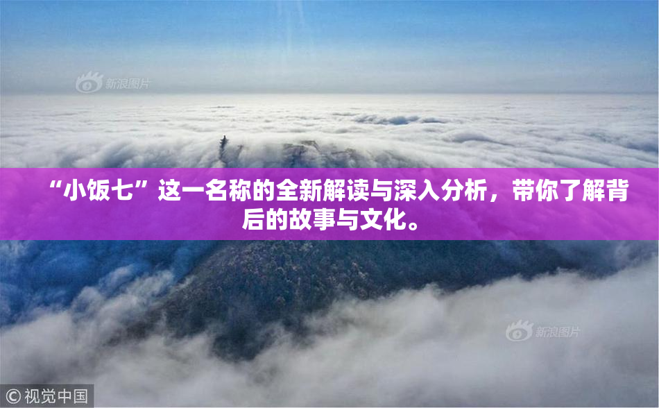 “小饭七”这一名称的全新解读与深入分析，带你了解背后的故事与文化。