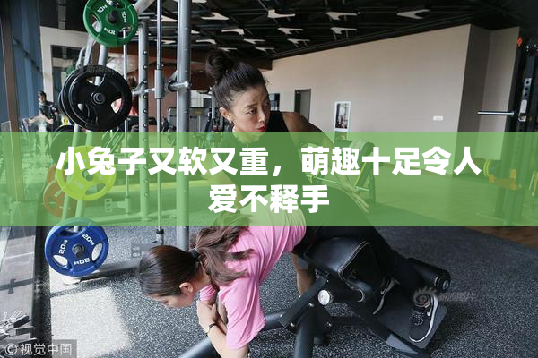 小兔子又软又重，萌趣十足令人爱不释手