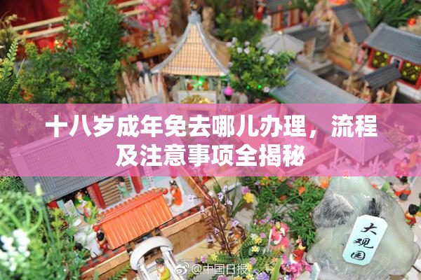 十八岁成年免去哪儿办理，流程及注意事项全揭秘