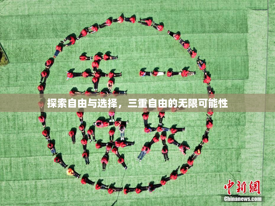 探索自由与选择，三重自由的无限可能性