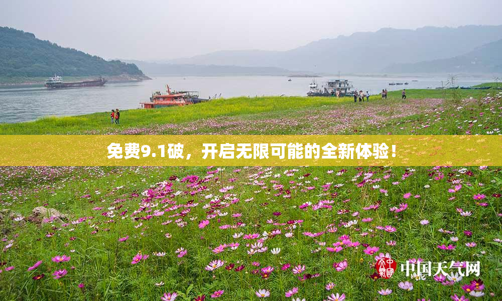 免费9.1破，开启无限可能的全新体验！