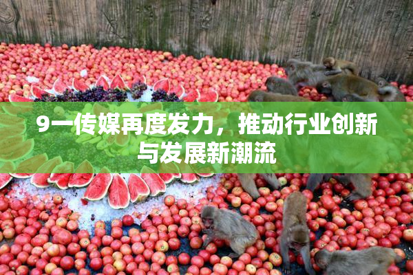 9一传媒再度发力，推动行业创新与发展新潮流
