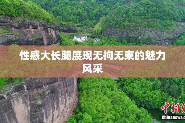 性感大长腿展现无拘无束的魅力风采