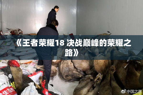 《王者荣耀18 决战巅峰的荣耀之路》