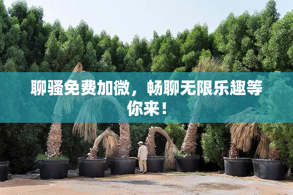 聊骚免费加微，畅聊无限乐趣等你来！