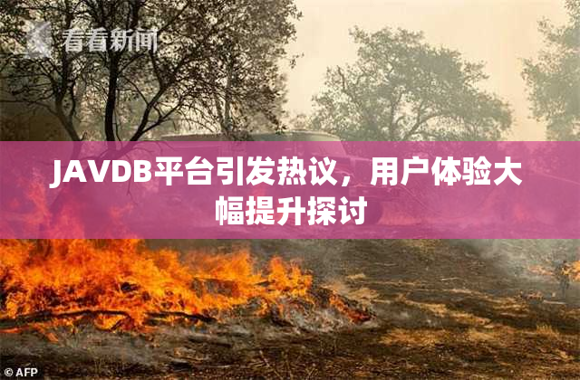 JAVDB平台引发热议，用户体验大幅提升探讨