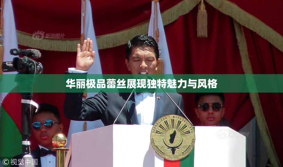 华丽极品蕾丝展现独特魅力与风格