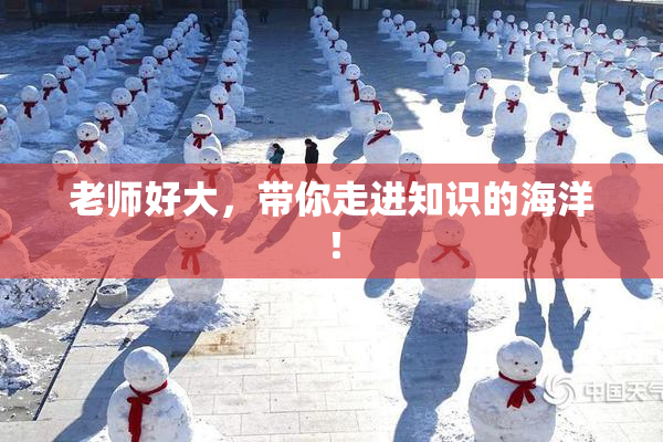 老师好大，带你走进知识的海洋！