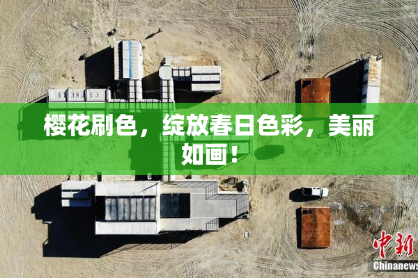 樱花刷色，绽放春日色彩，美丽如画！