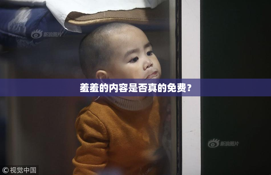 羞羞的内容是否真的免费？