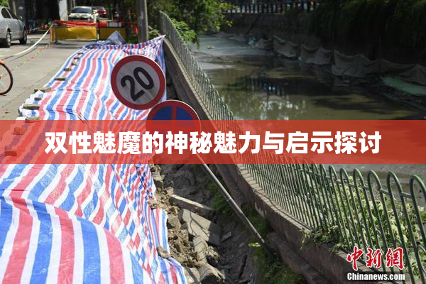 双性魅魔的神秘魅力与启示探讨