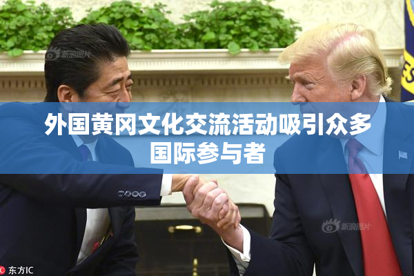 外国黄冈文化交流活动吸引众多国际参与者