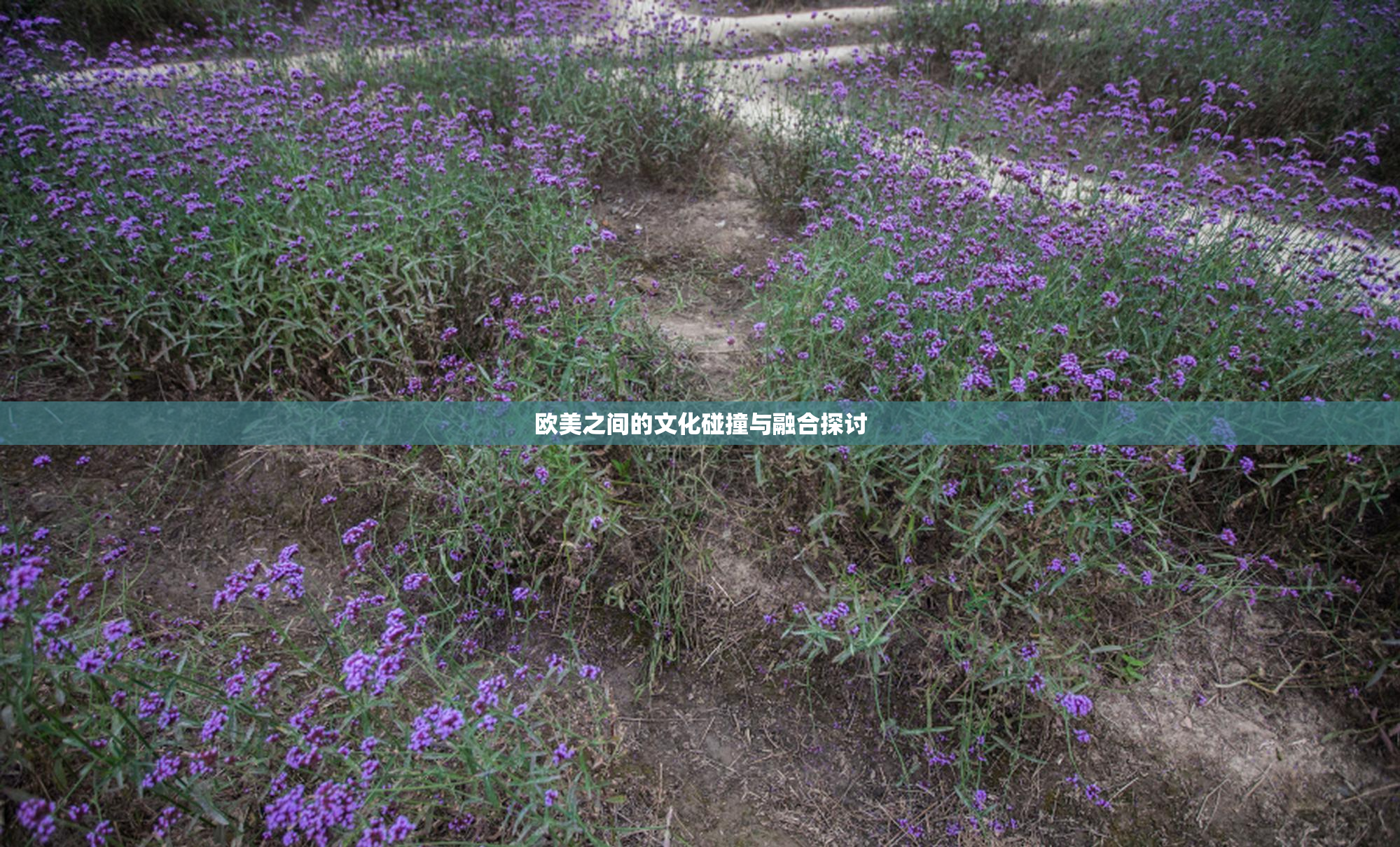 欧美之间的文化碰撞与融合探讨
