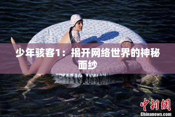 少年骇客1：揭开网络世界的神秘面纱