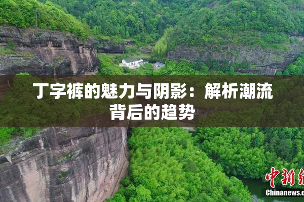 丁字裤的魅力与阴影：解析潮流背后的趋势