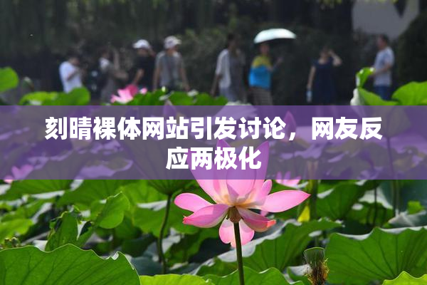 刻晴裸体网站引发讨论，网友反应两极化