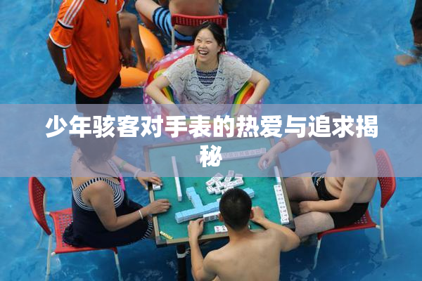 少年骇客对手表的热爱与追求揭秘