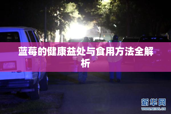 蓝莓的健康益处与食用方法全解析