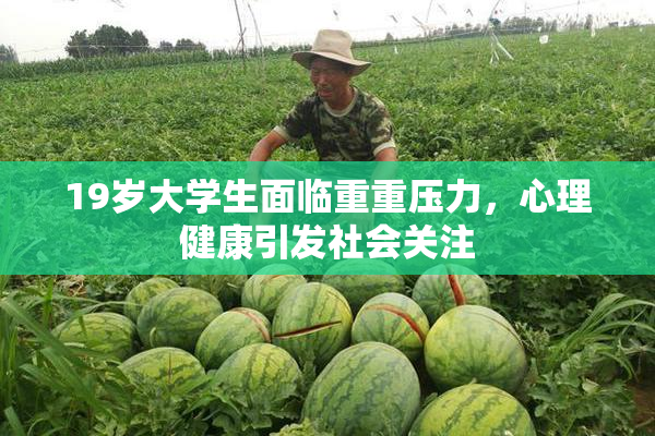 19岁大学生面临重重压力，心理健康引发社会关注