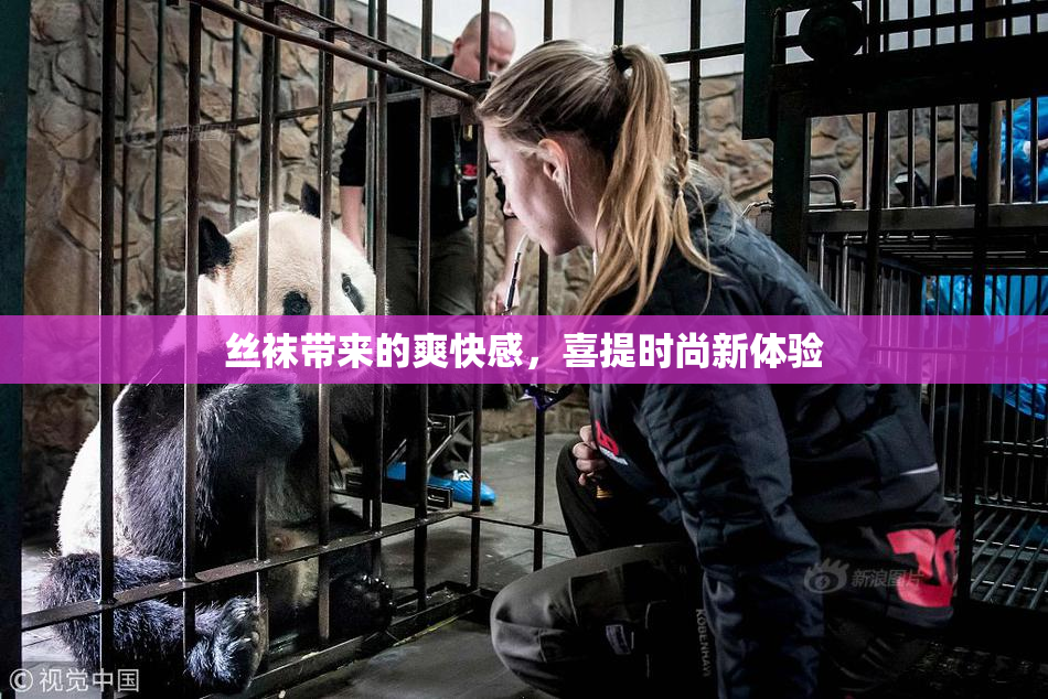 丝袜带来的爽快感，喜提时尚新体验