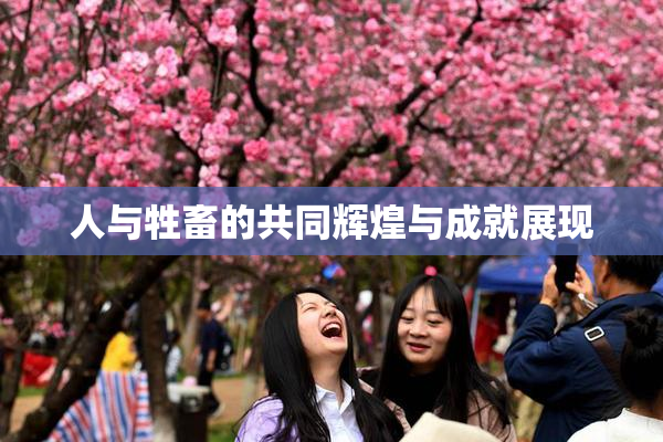 人与牲畜的共同辉煌与成就展现