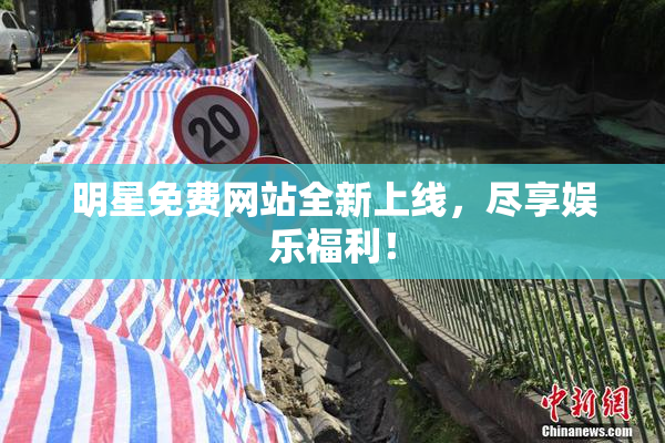 明星免费网站全新上线，尽享娱乐福利！