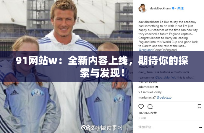 91网站w：全新内容上线，期待你的探索与发现！