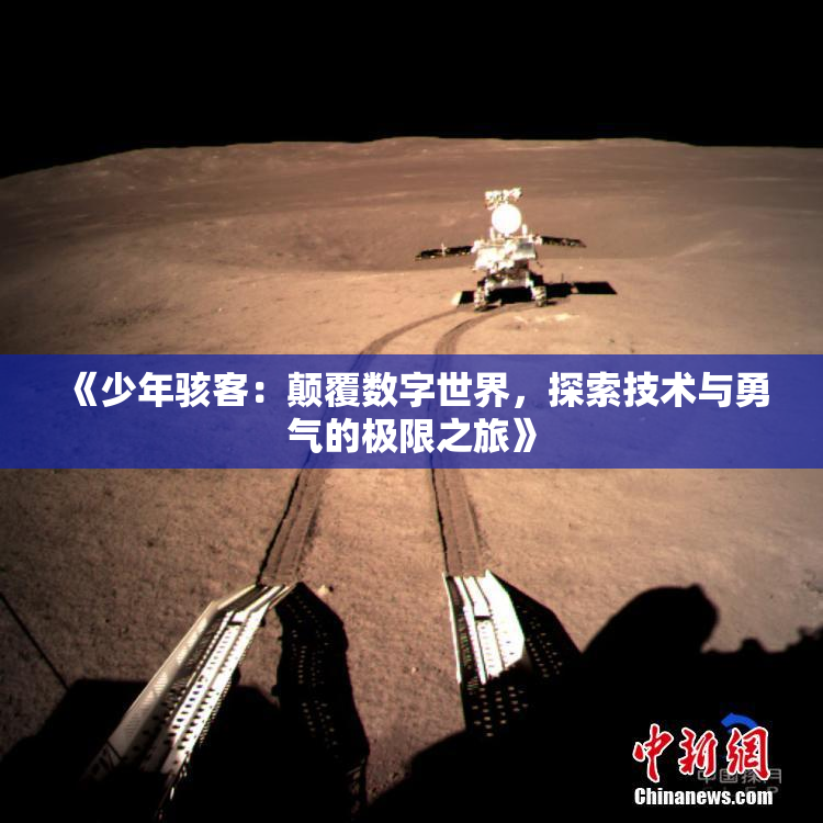 《少年骇客：颠覆数字世界，探索技术与勇气的极限之旅》