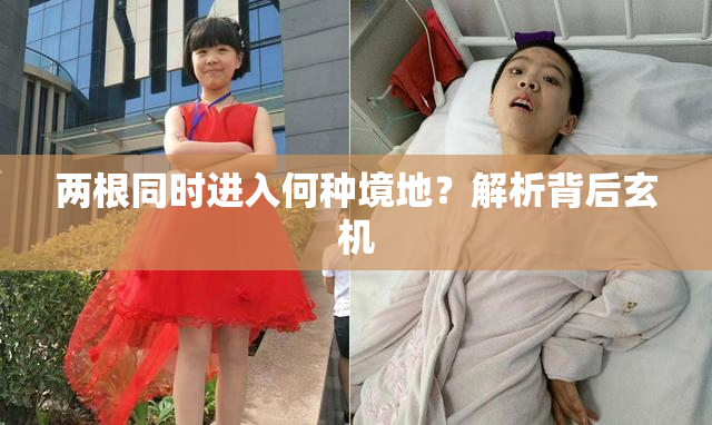两根同时进入何种境地？解析背后玄机
