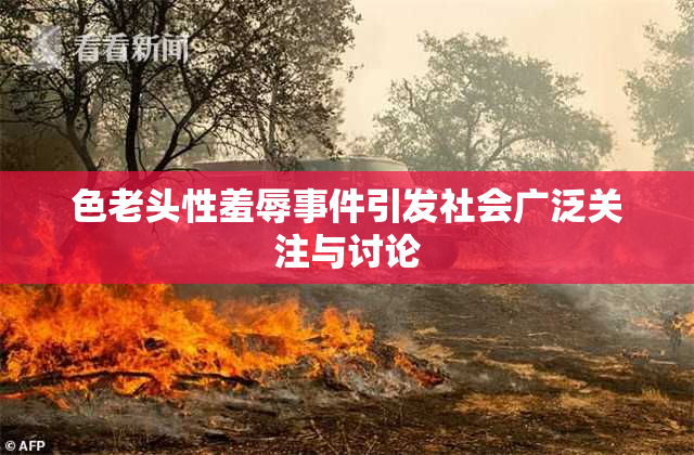 色老头性羞辱事件引发社会广泛关注与讨论